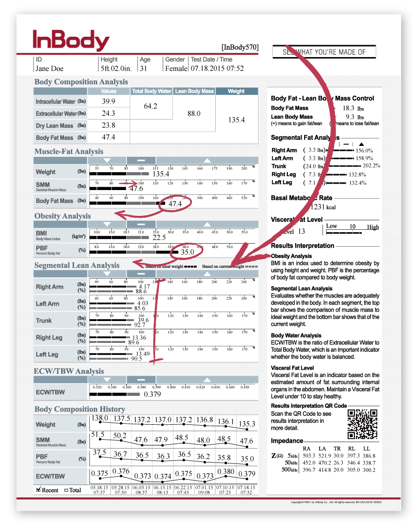 Inbody Chart
